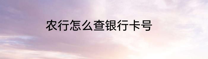 农行怎么查银行卡号