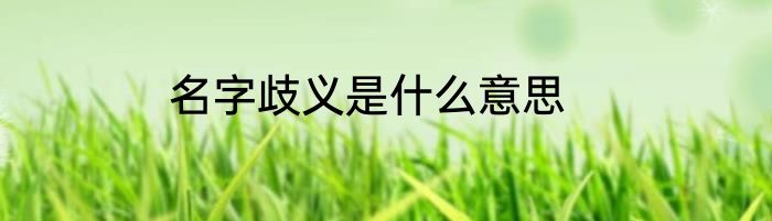 名字歧义是什么意思