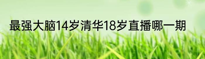 最强大脑14岁清华18岁直播哪一期