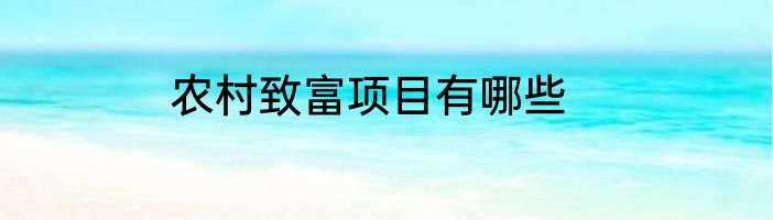 农村致富项目有哪些