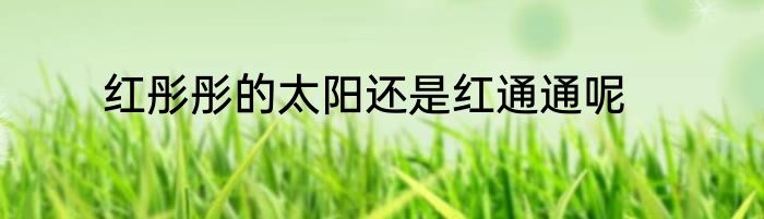 红彤彤的太阳还是红通通呢