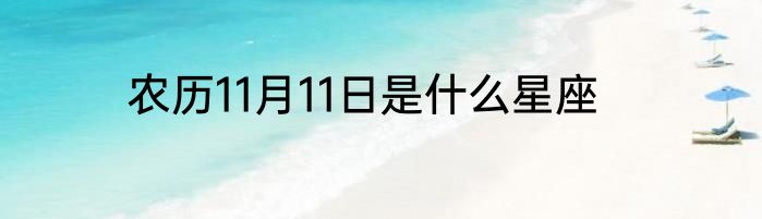 农历11月11日是什么星座