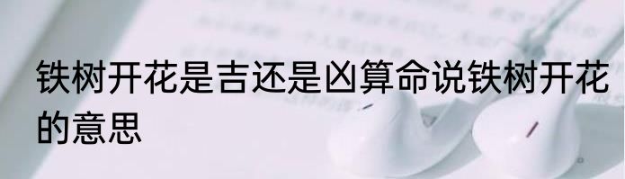 铁树开花是吉还是凶算命说铁树开花的意思