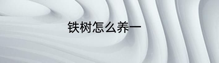 铁树怎么养一