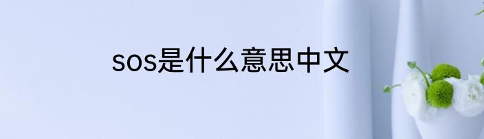 sos是什么意思中文