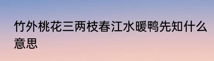 竹外桃花三两枝春江水暖鸭先知什么意思