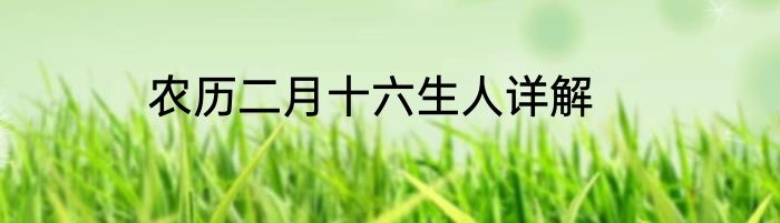 农历二月十六生人详解