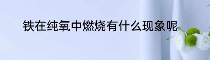 铁在纯氧中燃烧有什么现象呢