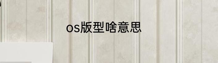 os版型啥意思