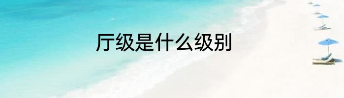 厅级是什么级别