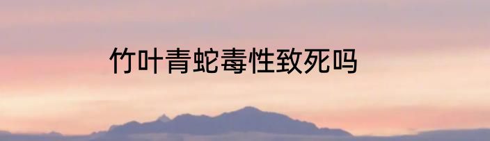 竹叶青蛇毒性致死吗
