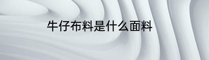 牛仔布料是什么面料