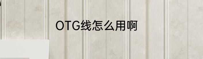 OTG线怎么用啊