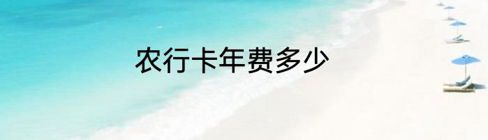 农行卡年费多少