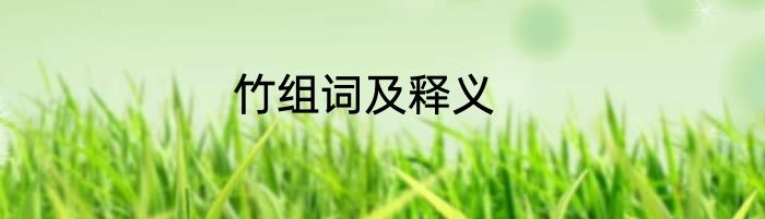 竹组词及释义