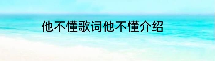 他不懂歌词他不懂介绍