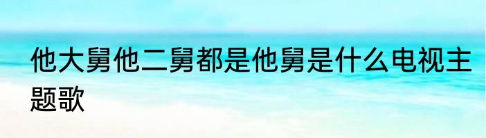 他大舅他二舅都是他舅是什么电视主题歌