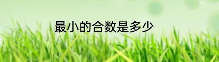最小的合数是多少