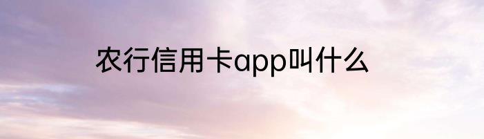 农行信用卡app叫什么