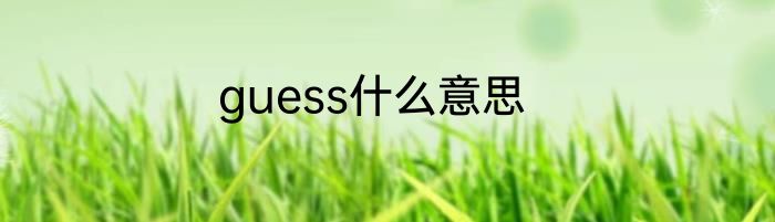 guess什么意思