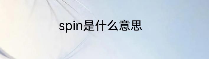 spin是什么意思