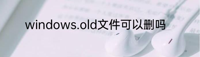 windows.old文件可以删吗