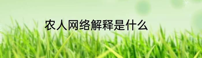 农人网络解释是什么