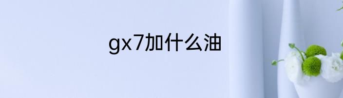 gx7加什么油