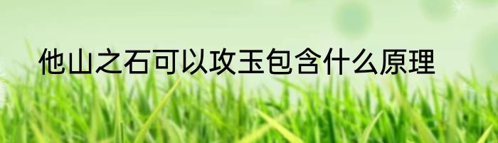 他山之石可以攻玉包含什么原理