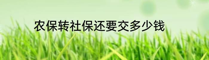 农保转社保还要交多少钱