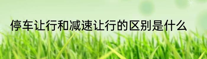 停车让行和减速让行的区别是什么