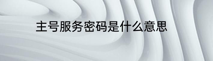 主号服务密码是什么意思