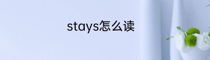 stays怎么读