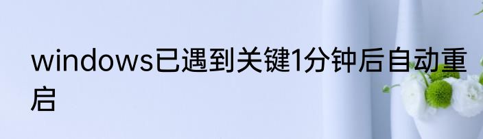 windows已遇到关键1分钟后自动重启