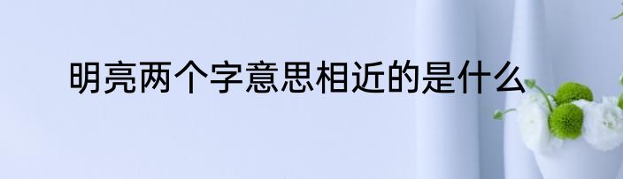 明亮两个字意思相近的是什么