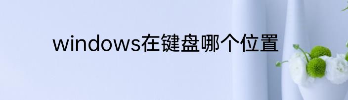 windows在键盘哪个位置