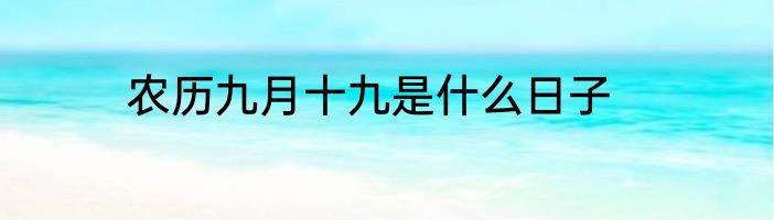 农历九月十九是什么日子