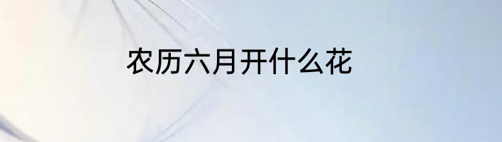 农历六月开什么花