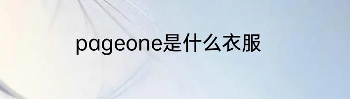 pageone是什么衣服