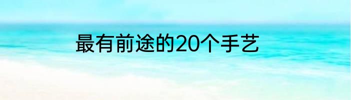 最有前途的20个手艺