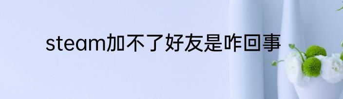 steam加不了好友是咋回事