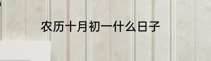农历十月初一什么日子