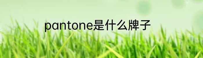 pantone是什么牌子