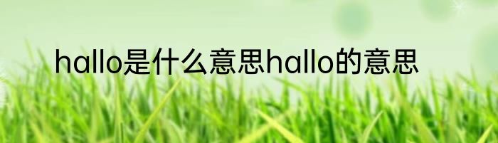 hallo是什么意思hallo的意思