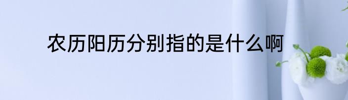 农历阳历分别指的是什么啊