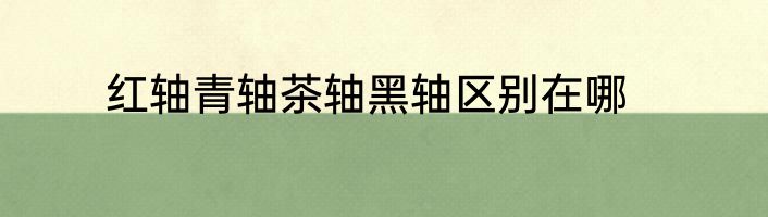 红轴青轴茶轴黑轴区别在哪