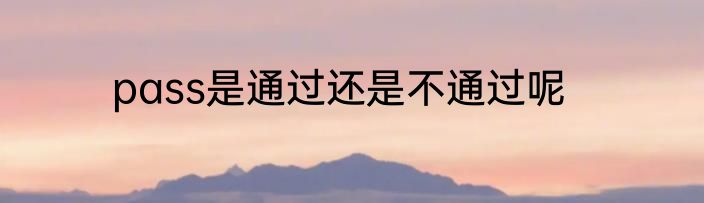 pass是通过还是不通过呢