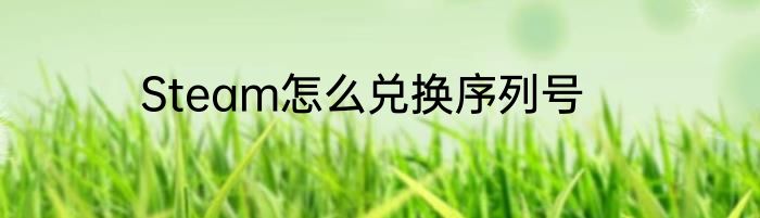 Steam怎么兑换序列号