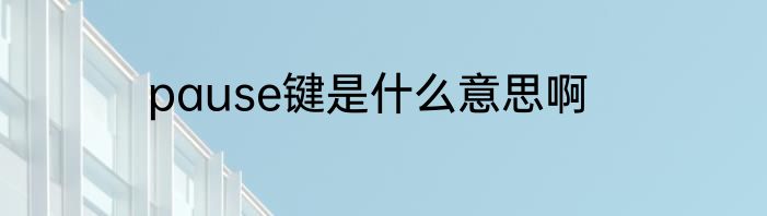 pause键是什么意思啊