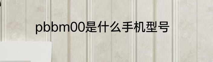 pbbm00是什么手机型号